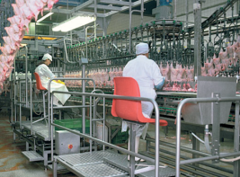 Pan Conveyor