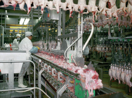 Pan Conveyor